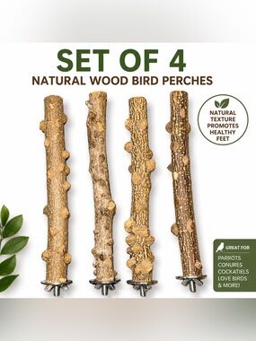 Set of 4 Natural Wood Bird Cage Perches Branch Perches
